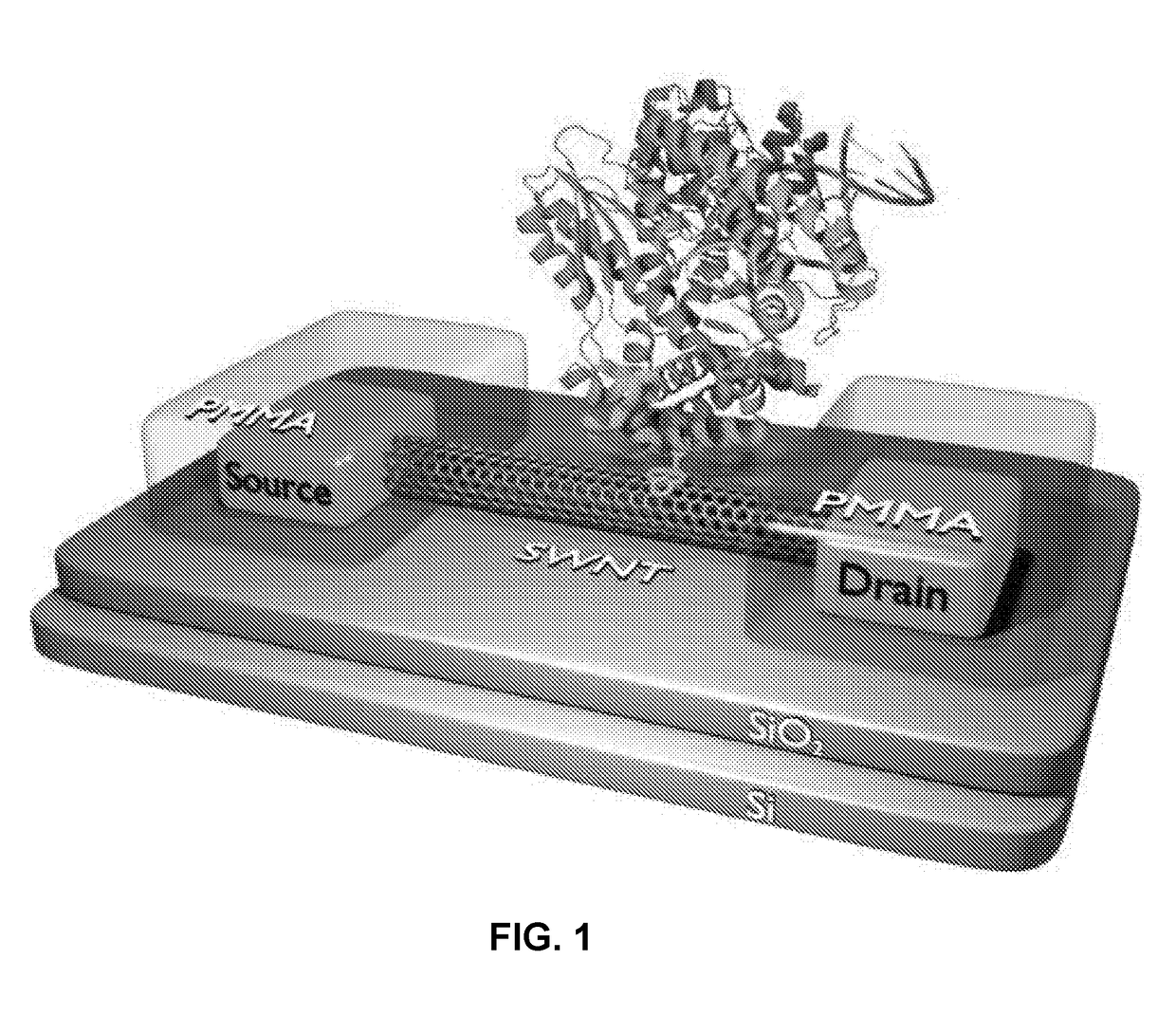 Field-effect apparatus and methods for sequencing nucleic acids