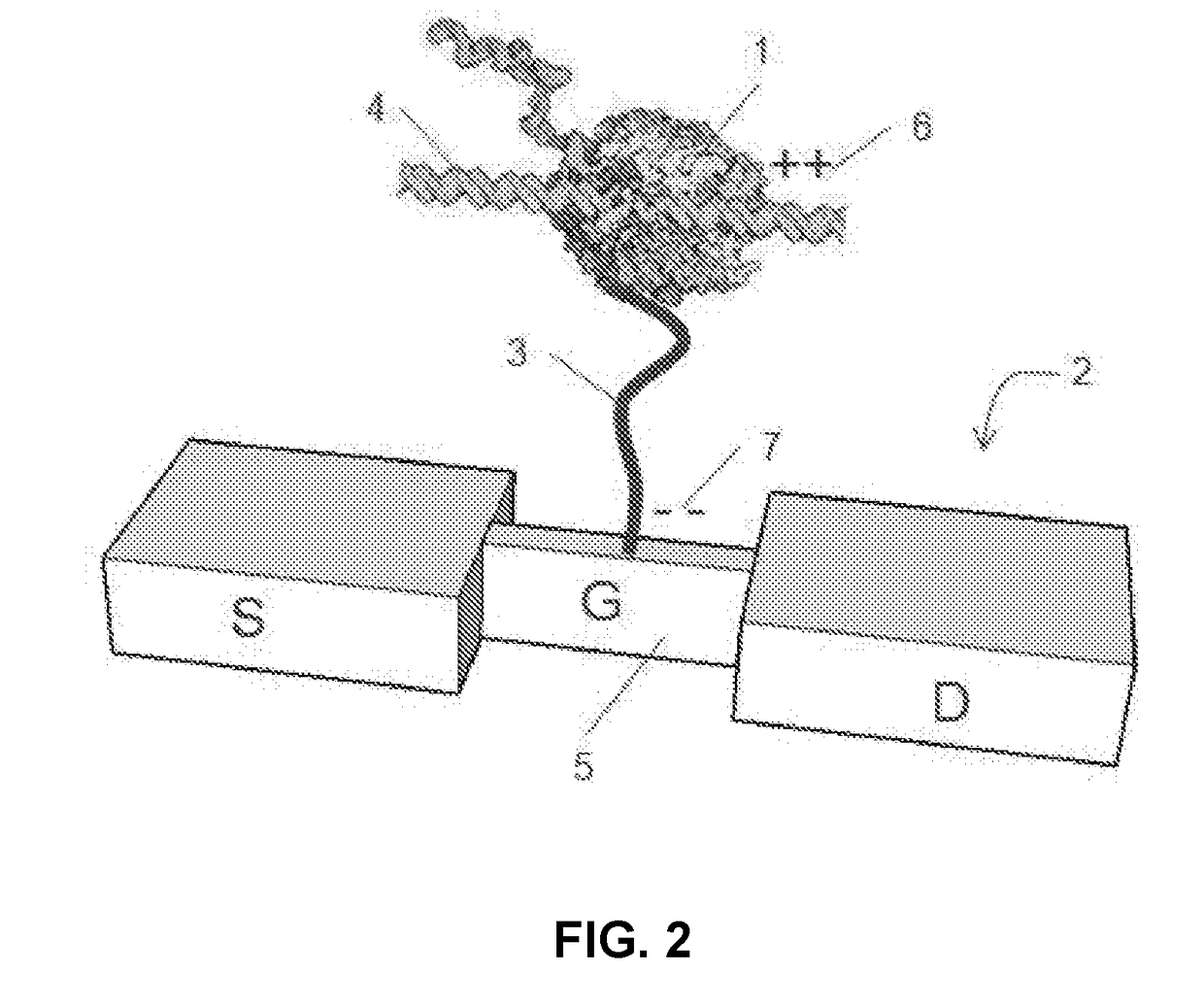 Field-effect apparatus and methods for sequencing nucleic acids