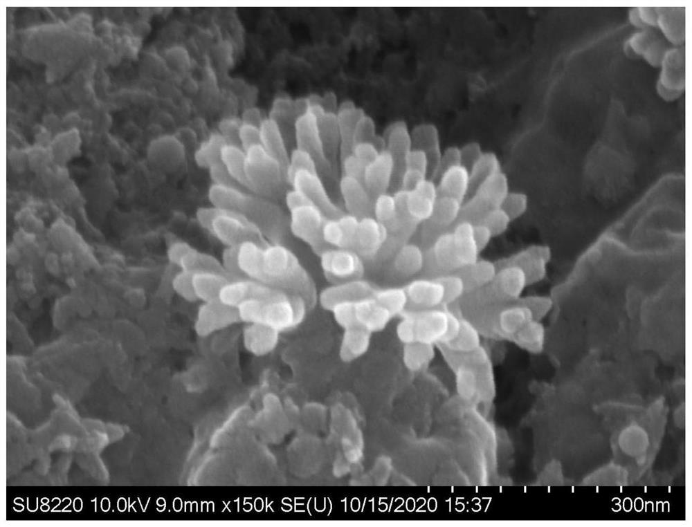 Method for multidimensional preparation of graphene-based MXene nanoflowers