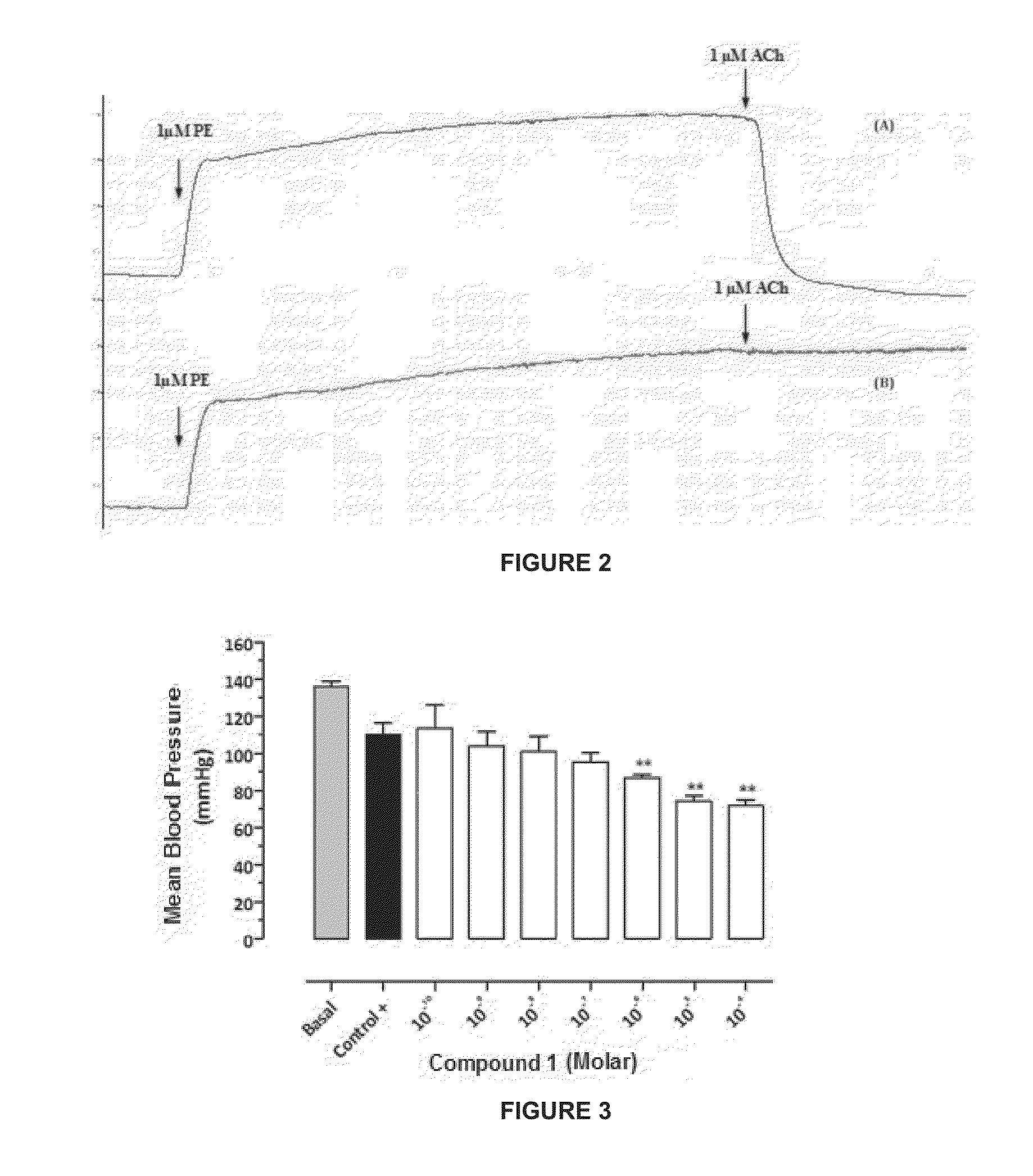 Metabolites and oximes with vasodilator and hypotensive activity