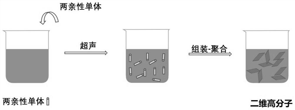 Preparation method of two-dimensional anion exchange polymer, prepared polymer and application thereof