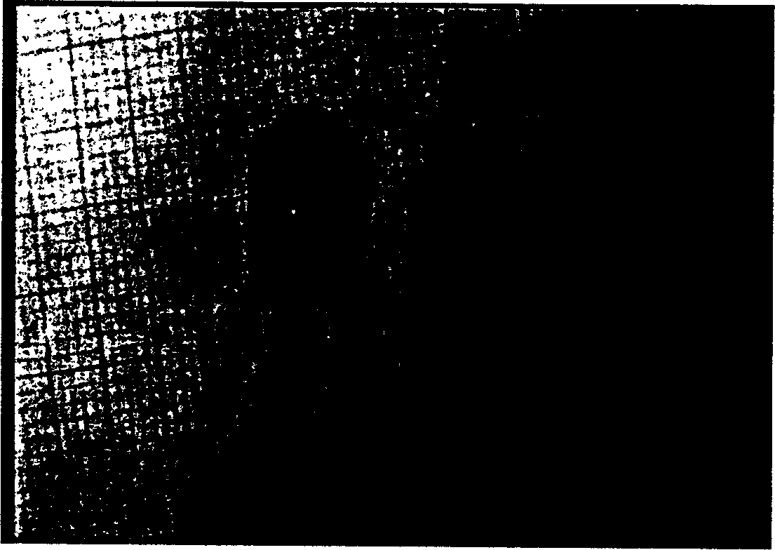 Process for preparing porous support frame of soft tissue engineering with water-soluble high-molecular material as mould