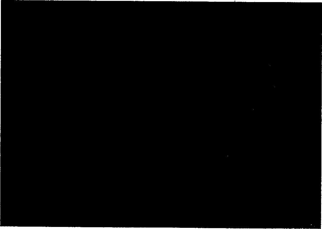 Process for preparing porous support frame of soft tissue engineering with water-soluble high-molecular material as mould