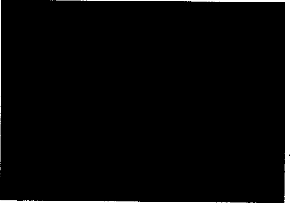 Process for preparing porous support frame of soft tissue engineering with water-soluble high-molecular material as mould