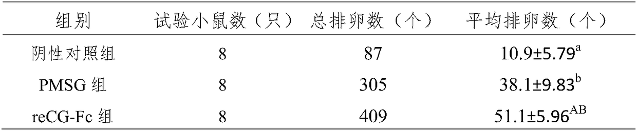 Recombinant equine chorionic gonadotropin fusion protein as well as preparation method and application thereof