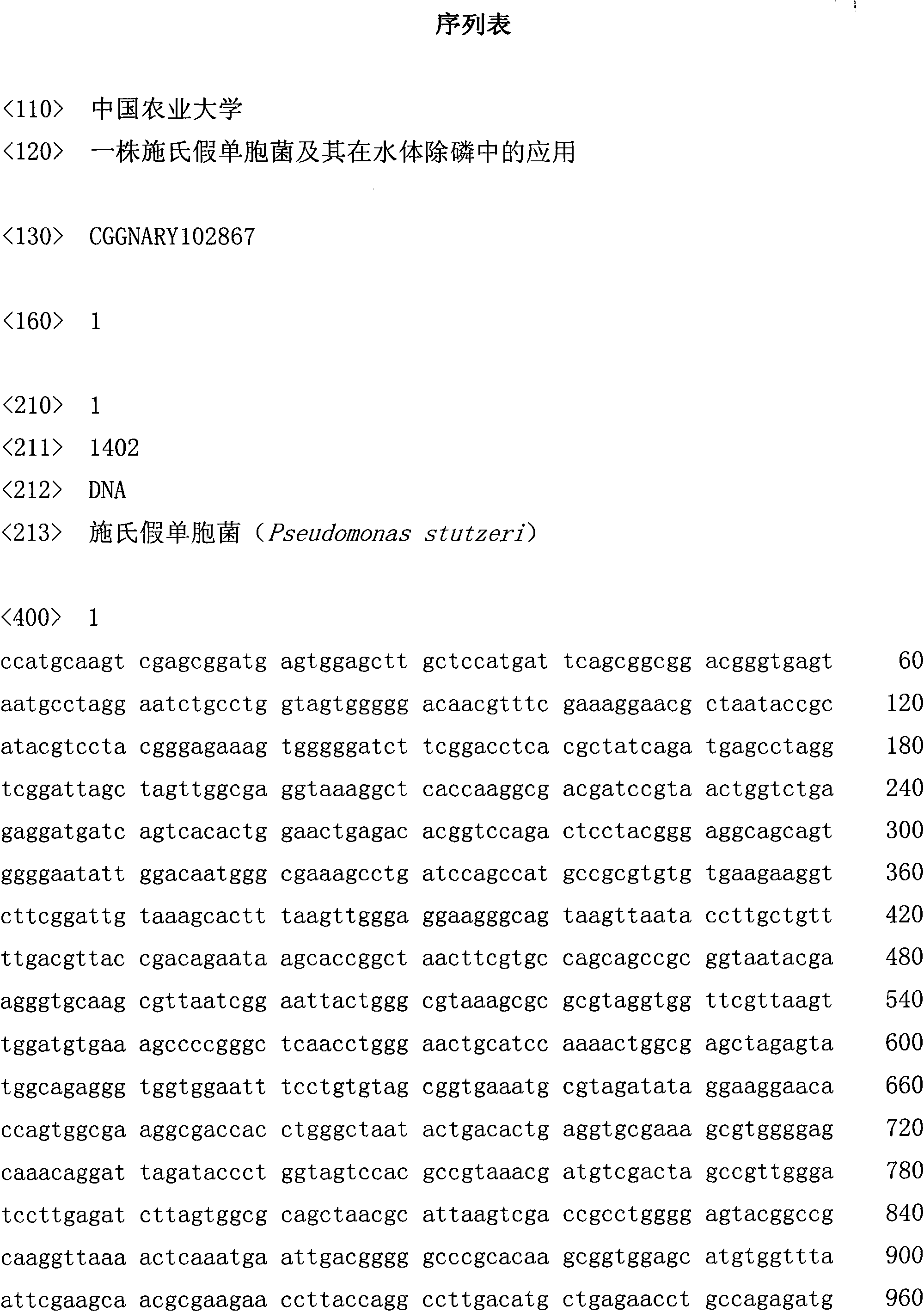 Pseudomonas stutzeri and application thereof to water body dephosphorization