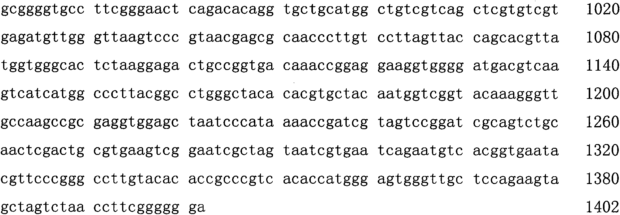 Pseudomonas stutzeri and application thereof to water body dephosphorization