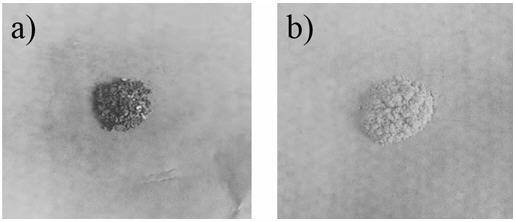 A method for efficiently preparing high-quality benzodifuranone