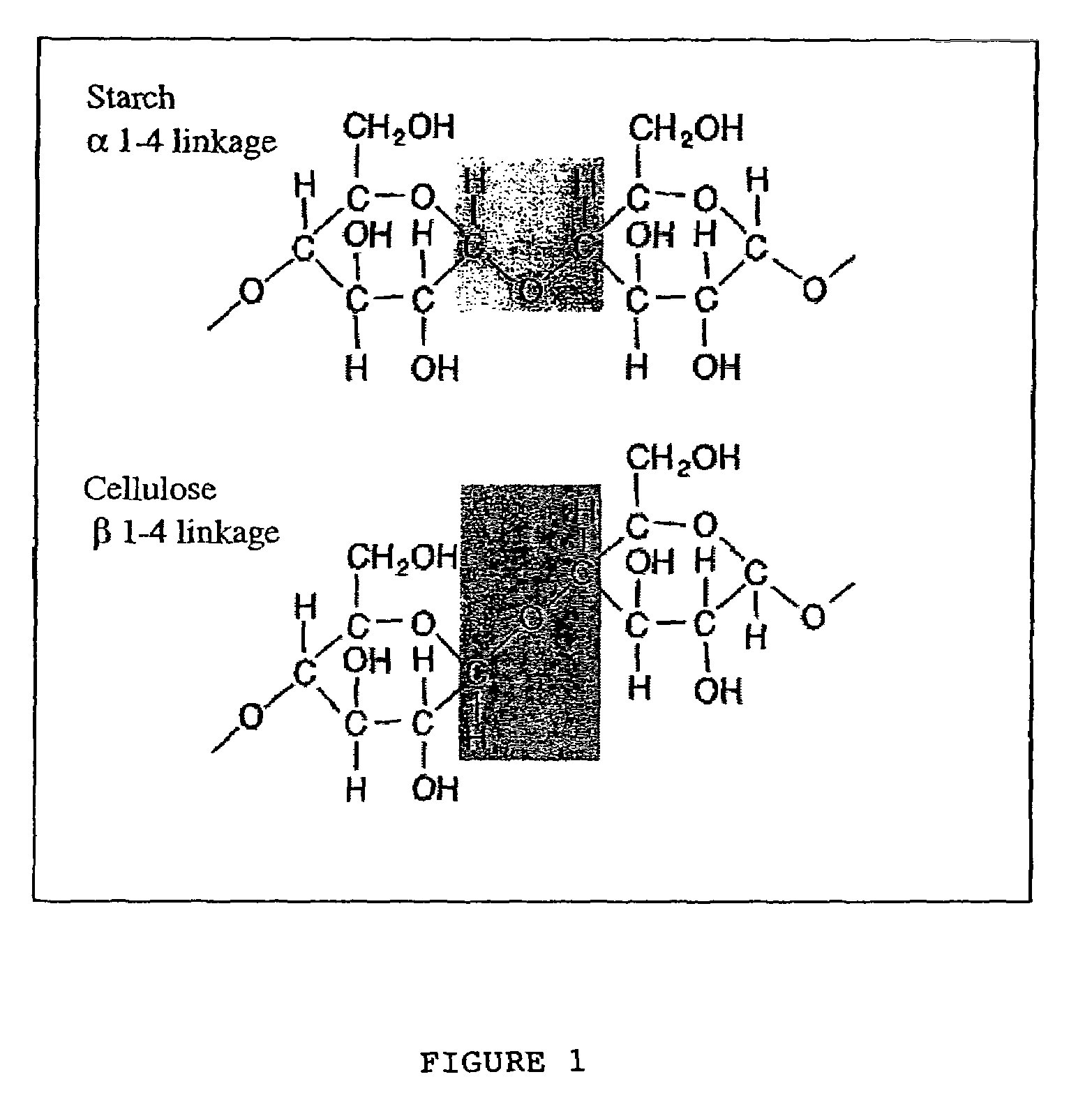 Method of use of carboxylated polysaccharides topically on the eyeball