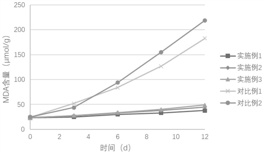 Antioxidant food preservative film and preparation method thereof