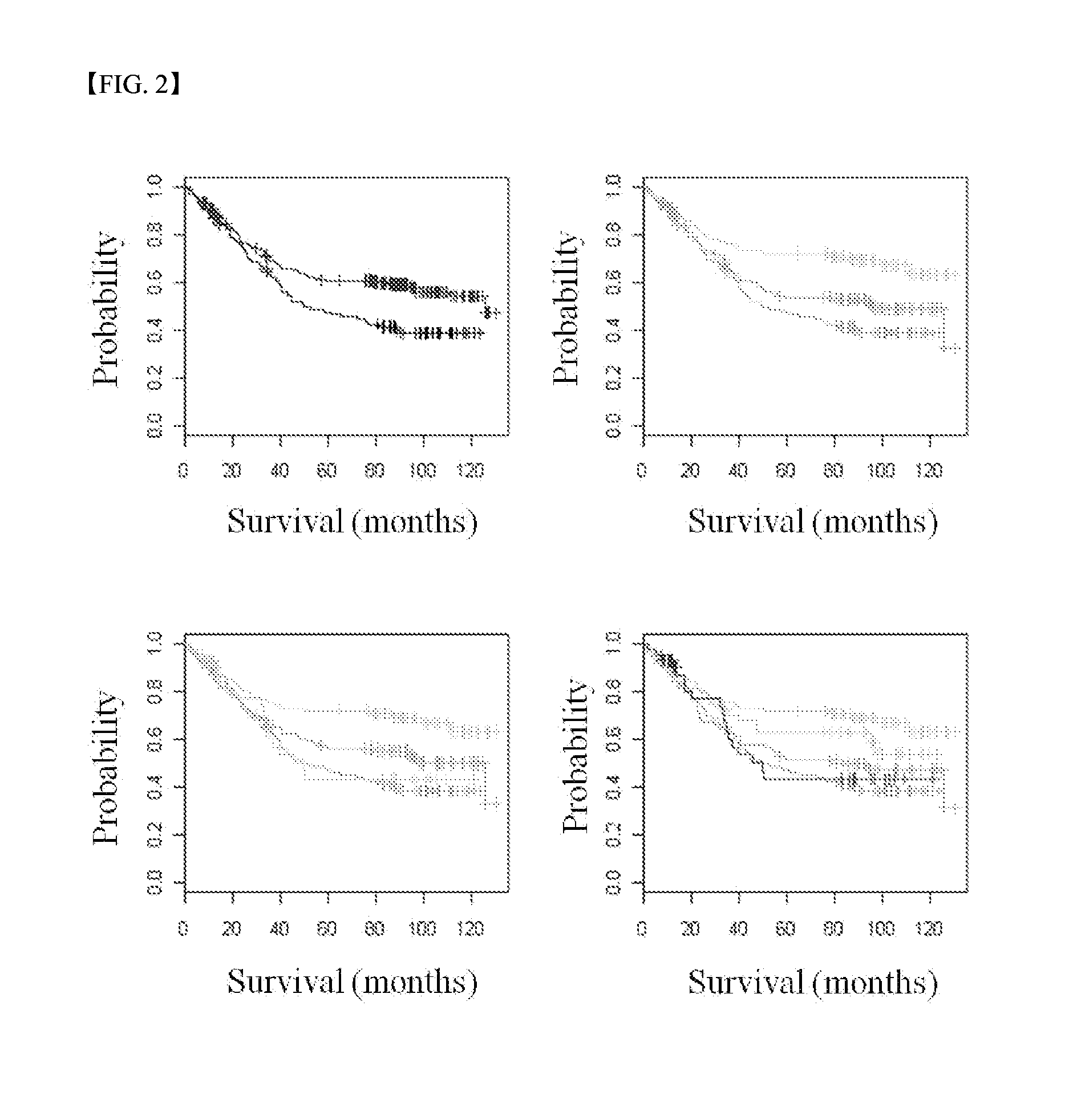 Method for manufacturing gastric cancer prognosis prediction model