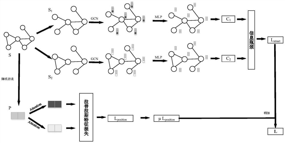 Network characterization method based on adaptive structure and position coding