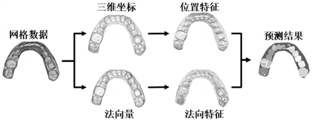 Dental model point cloud segmentation method based on cross-graph attention mechanism and cost function learning