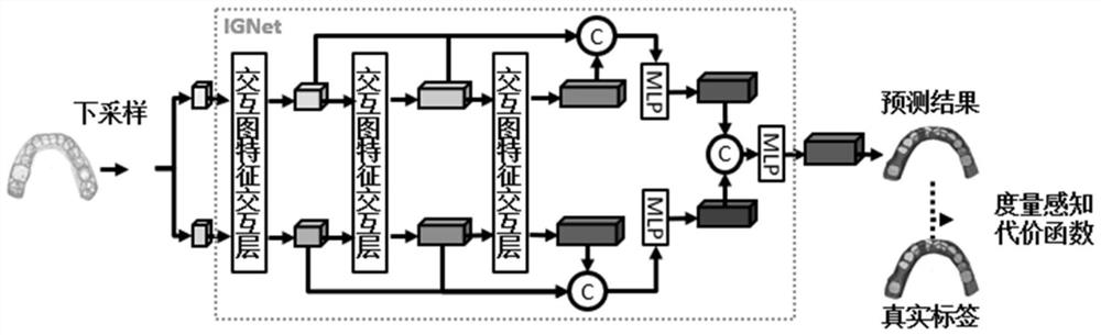 Dental model point cloud segmentation method based on cross-graph attention mechanism and cost function learning