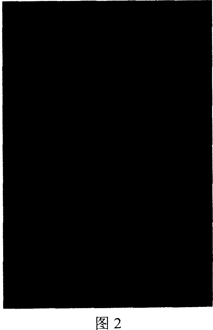 Ultraviolet shielding agent containing MnO2 nano sheet and its preparing and using method