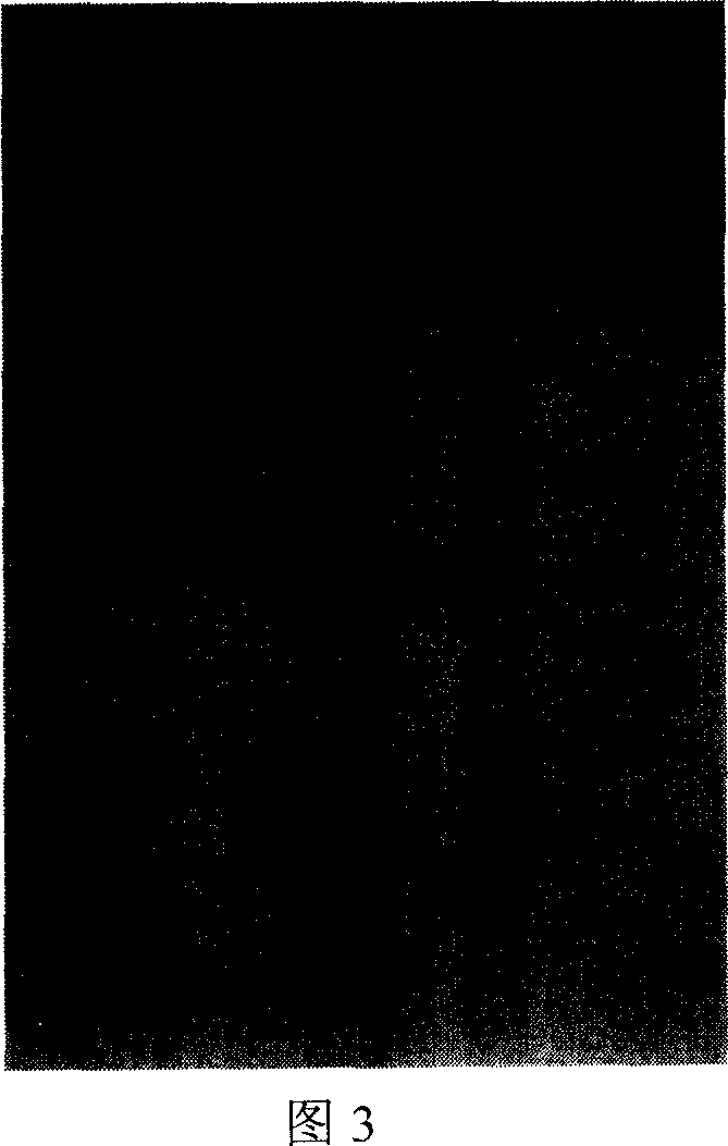 Ultraviolet shielding agent containing MnO2 nano sheet and its preparing and using method