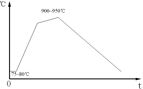 Coal ash biological filter material and preparation method of coal ash biological filter material