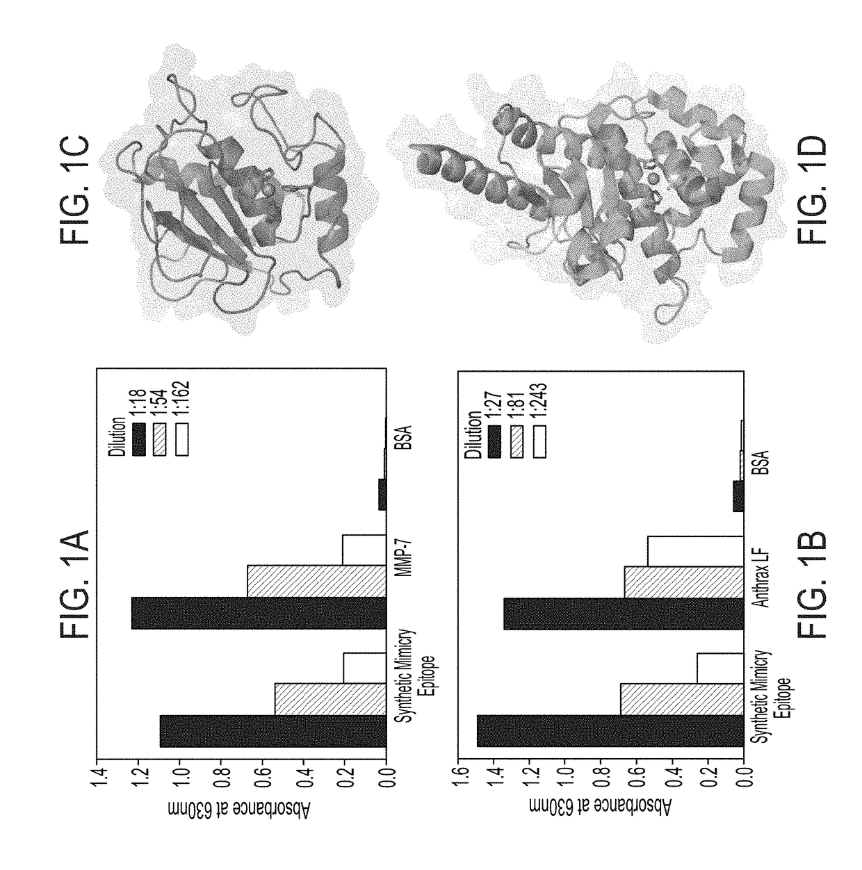 Methods of generating antibodies to metalloenzymes