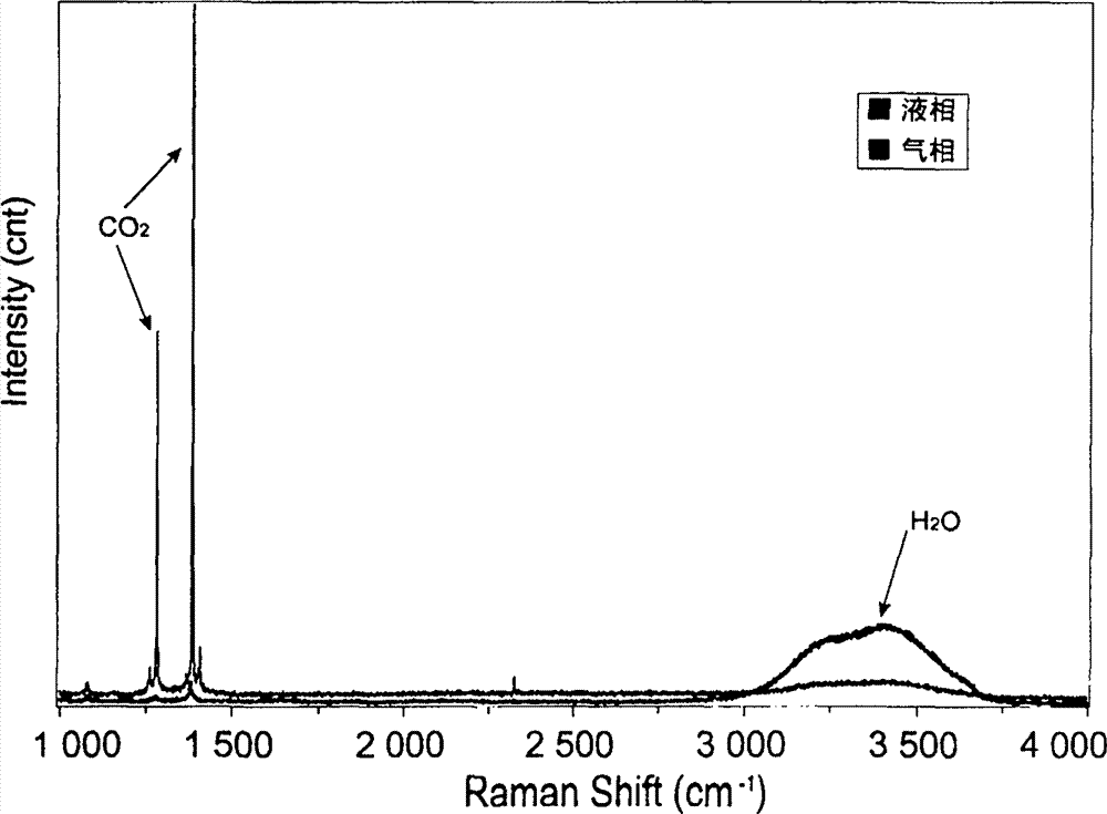 Laser raman Mapping-based method for determining vapor liquid ratio of fluid inclusion