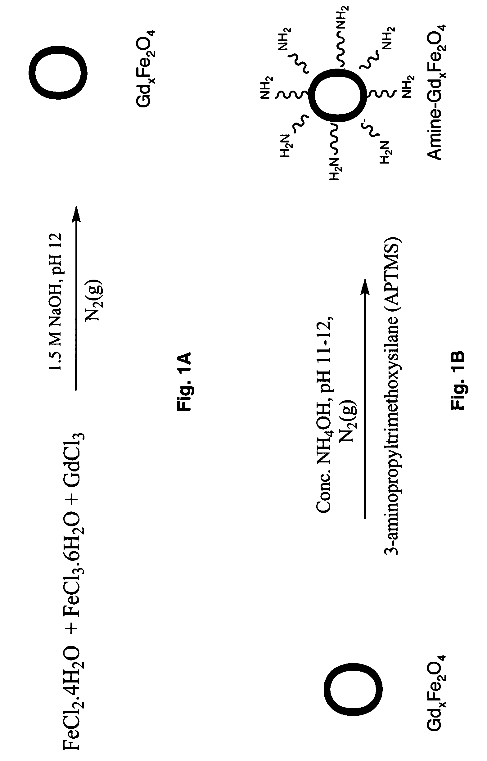 Ultrasmall superparamagnetic iron oxide nanoparticles and uses thereof