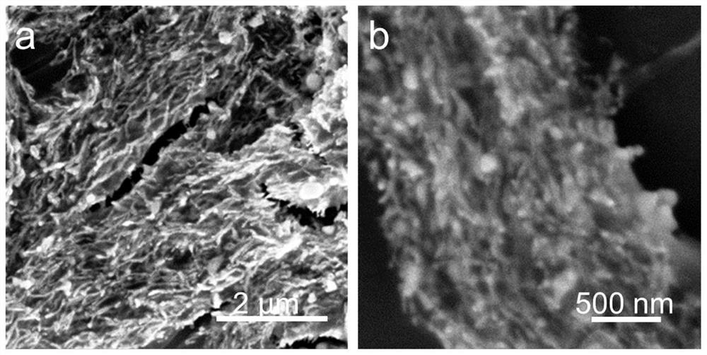 Ag-AgX nanowire and preparation method thereof