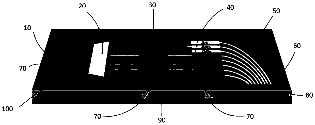 Active optical phased array photonic integrated chip and preparation method thereof