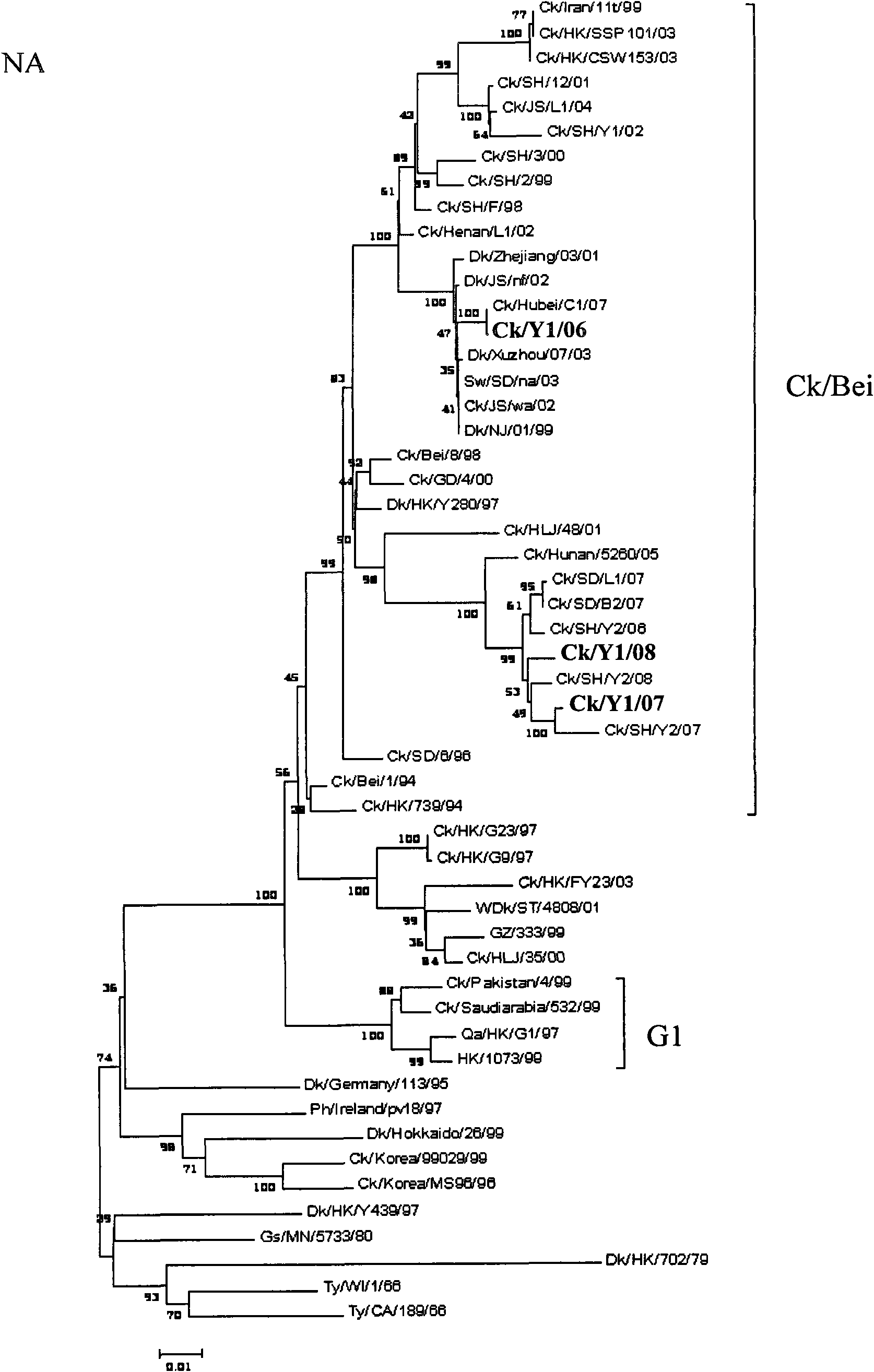 Avian influenza virus (AIV) as well as kit and vaccine used for detecting and preventing same