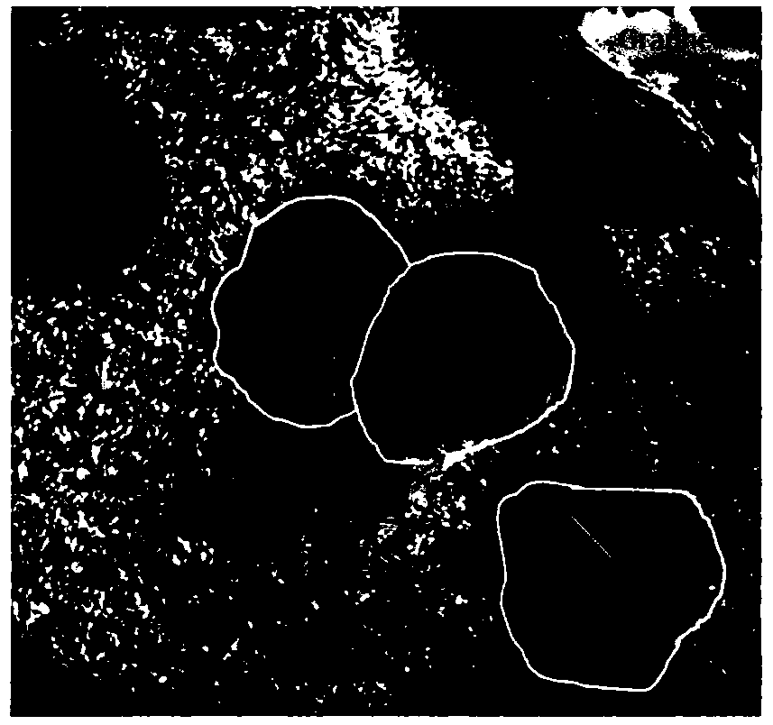 Graphene/metal/mgb2 composite material with high intercrystalline connectivity and preparation method