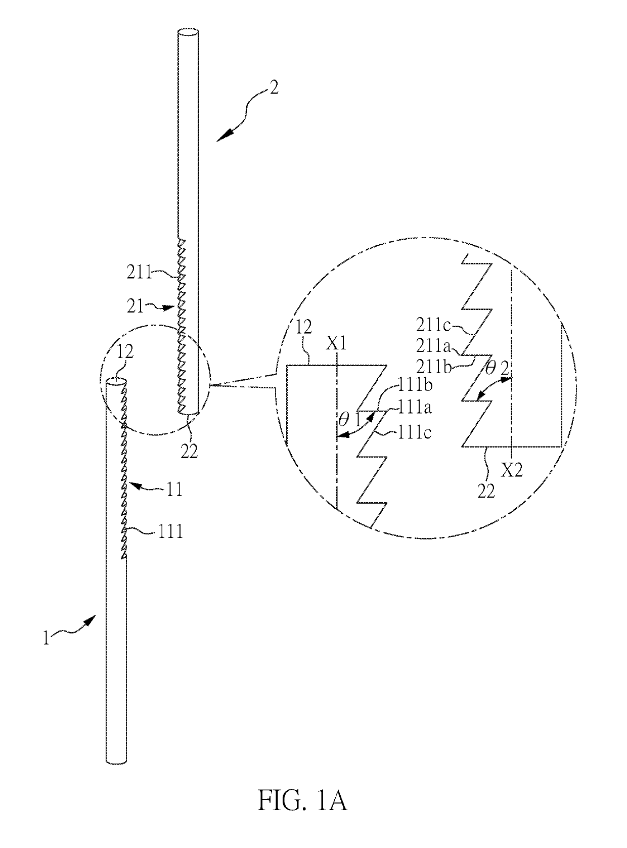 Spine correction apparatus