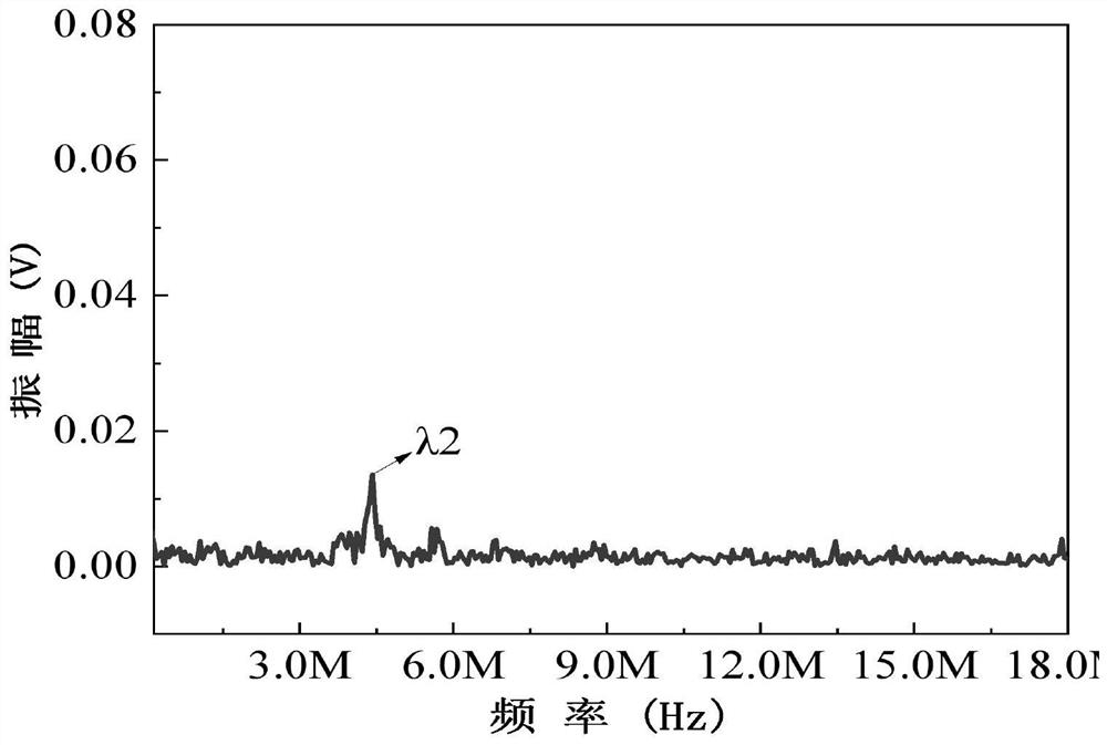 Heterogeneous solution gas content detection device and detection method