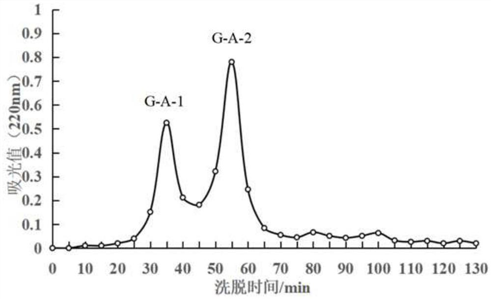 Novel umami oligopeptide as well as preparation method and application thereof