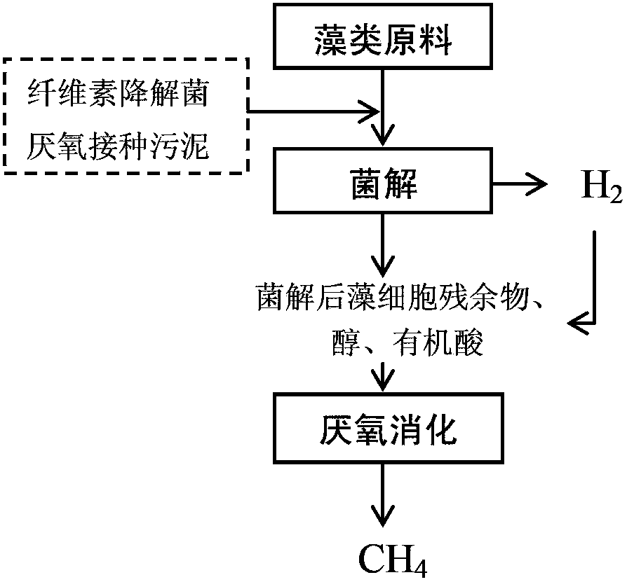 Method for improving anaerobic energy production efficiency of algae raw material through bacterial degradation biological pretreatment