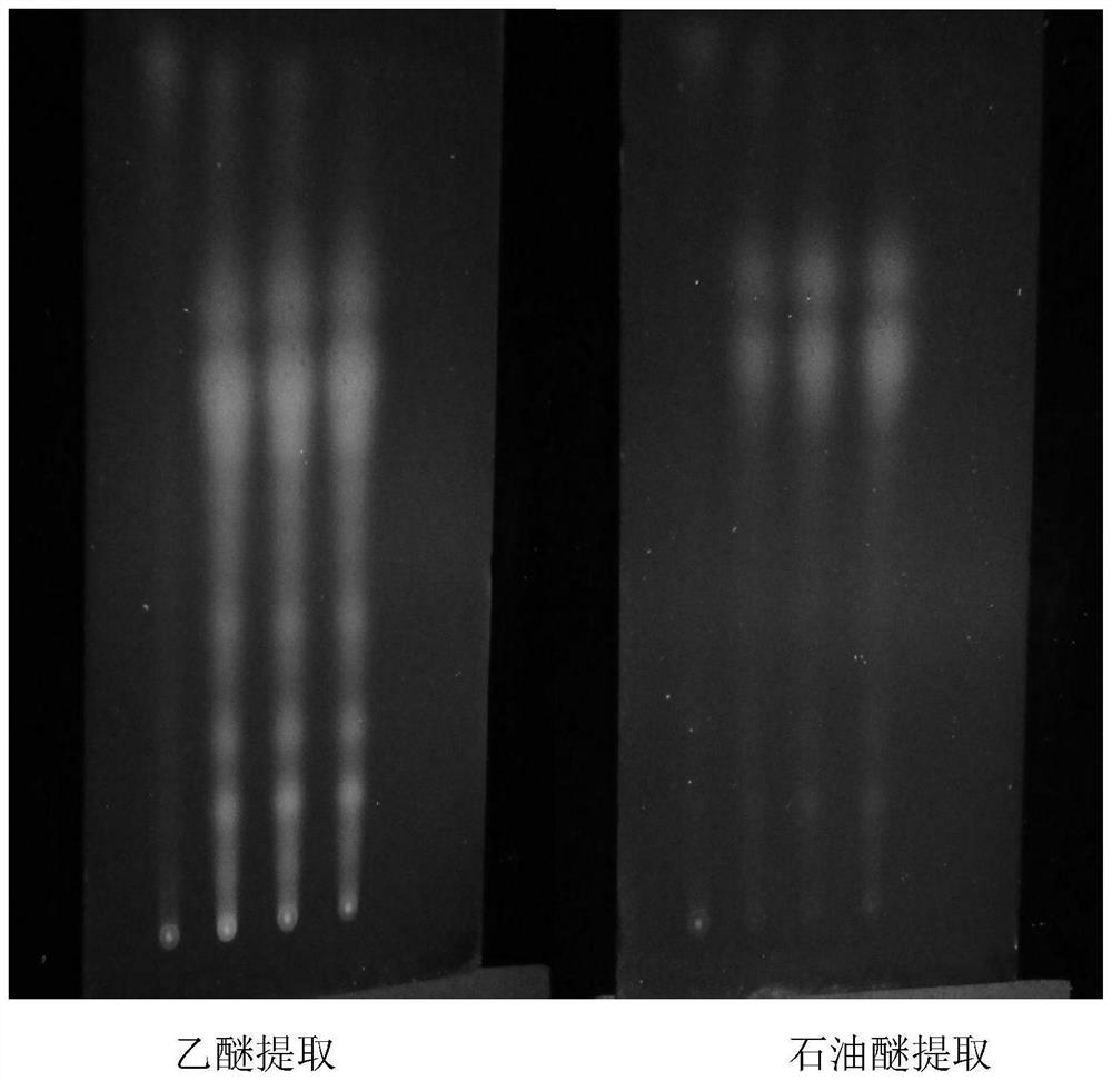 Detection method of folium artemisiae argyi charcoal