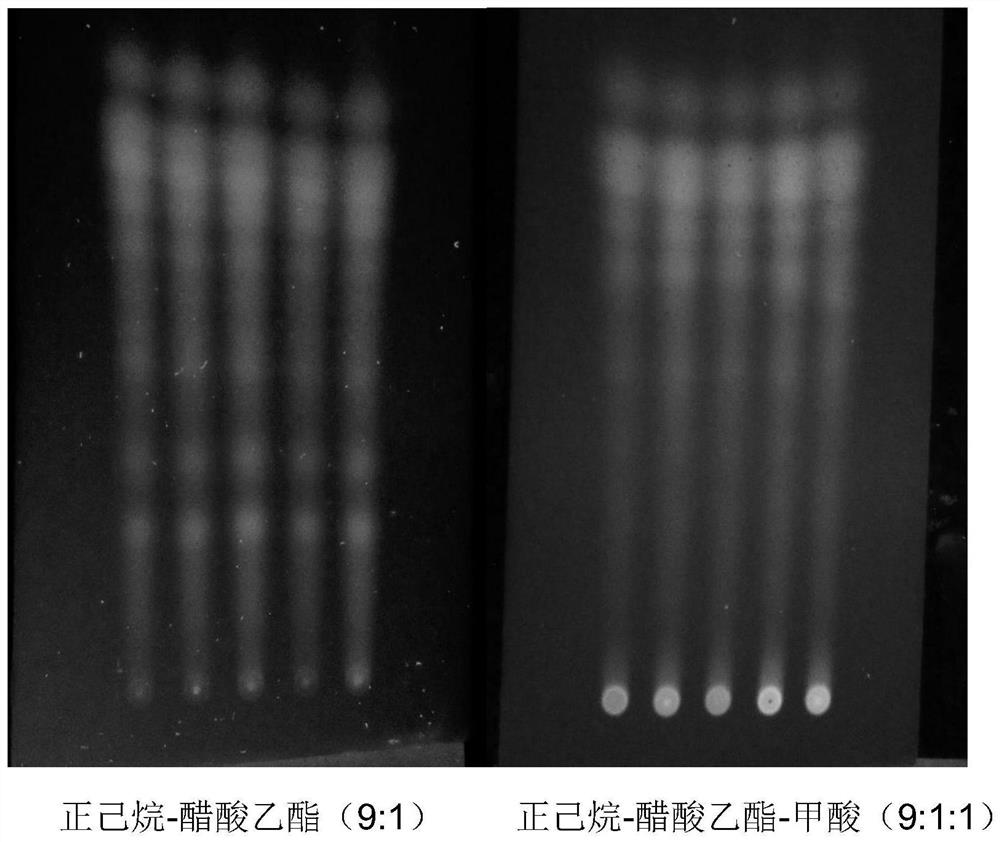 Detection method of folium artemisiae argyi charcoal