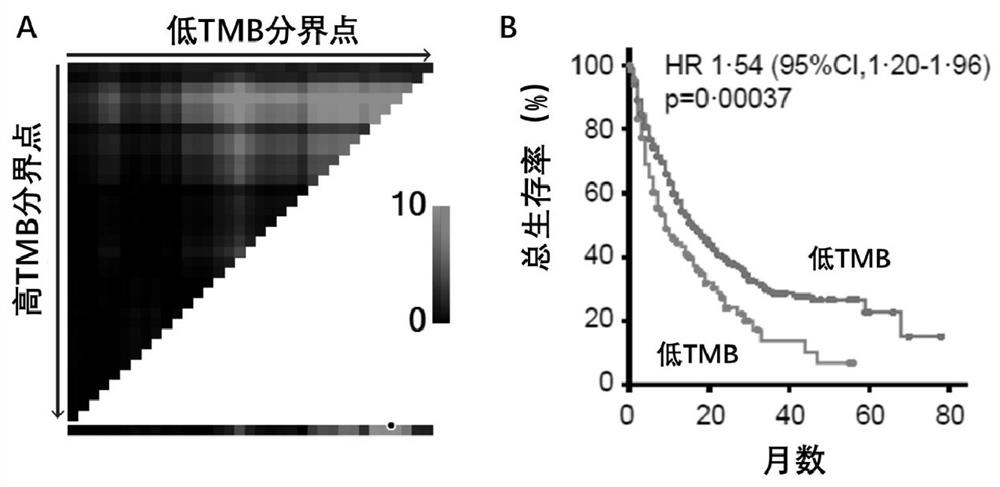 Classifier for predicting ICI drug application sensitivity of advanced tumor patients and application