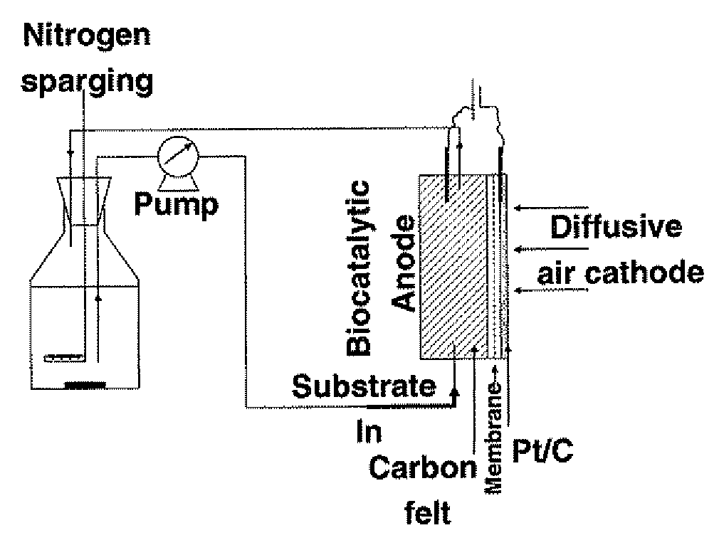 Microbial fuel cell with improved anode