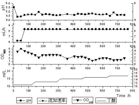 Clostridium acetobutylicum strain and application thereof