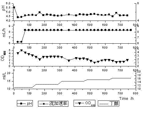 Clostridium acetobutylicum strain and application thereof