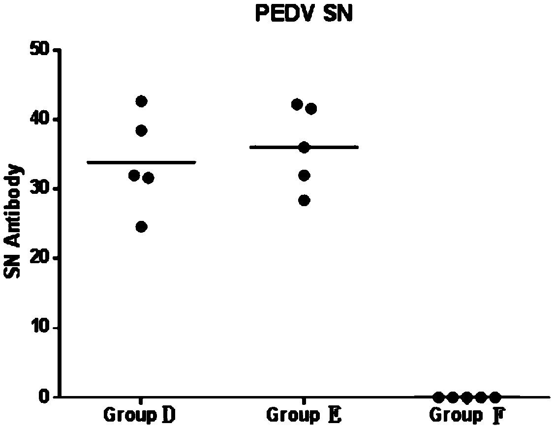 Recombinant porcine pseudorabies virus and application thereof and recombinant porcine live pseudorabies vaccine