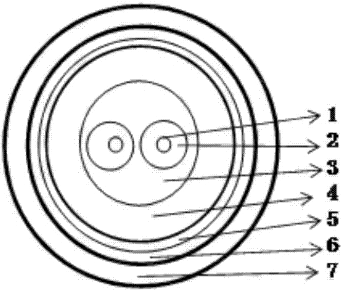 Radio frequency remote optical cable for ratproof and monkeyproof base station capable of conducting thunder and lightning and preparation method thereof