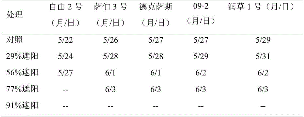 Shade tolerance indoor detection method for poaceae turf grass