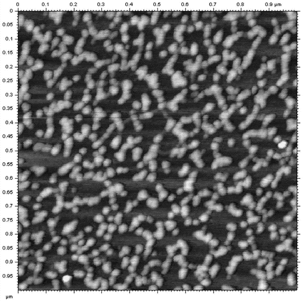 A self-assembled nucleic acid nanotube preparation, preparation method and application