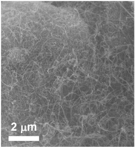 Pyridine nitrogen enriched carbon nanotube catalyst as well as preparation method and application thereof