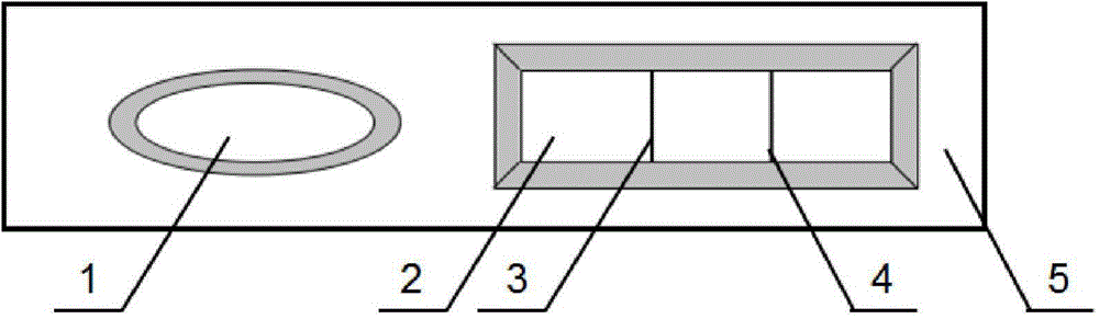 Immunochromatographic test strip, detection method by using immunochromatographic test strip, and application of immunochromatographic test strip