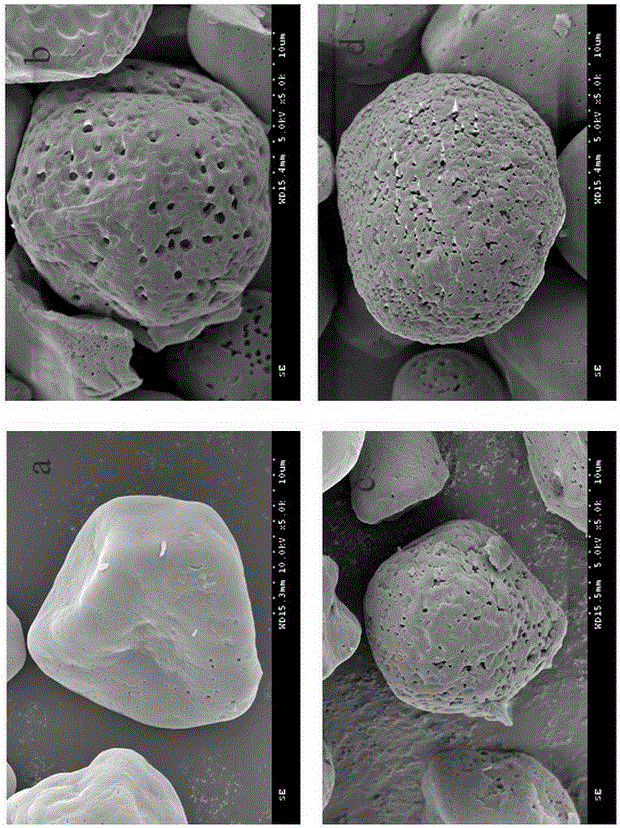 Method for producing corn porous starch by using low temperature freeze-thawing technology