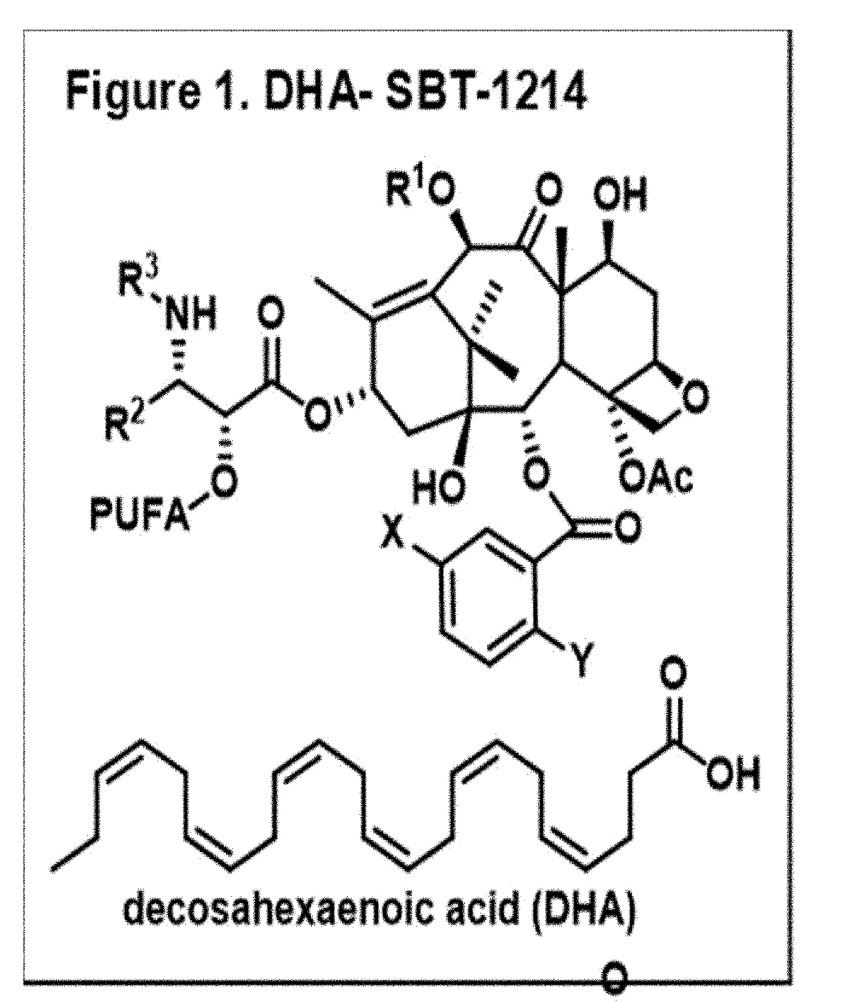 Combination taxoid nanoemulsion with immunotherapy in cancer