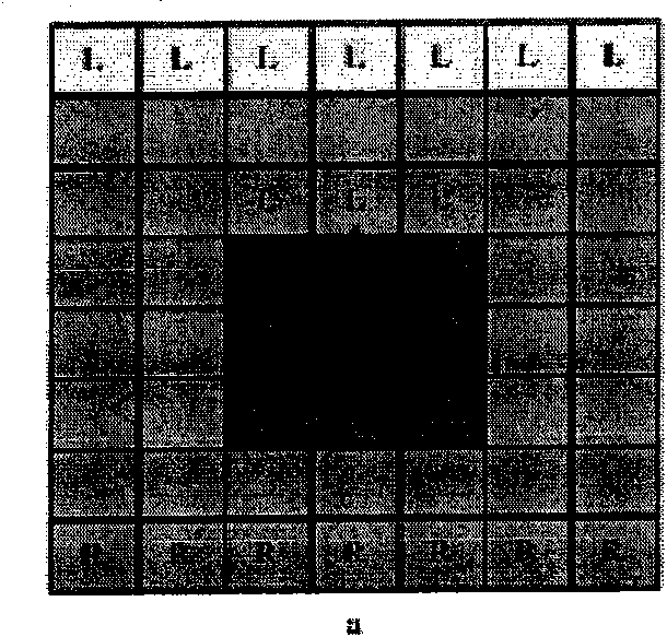 Large-scale terrain rendering system based on double-layer nested grid