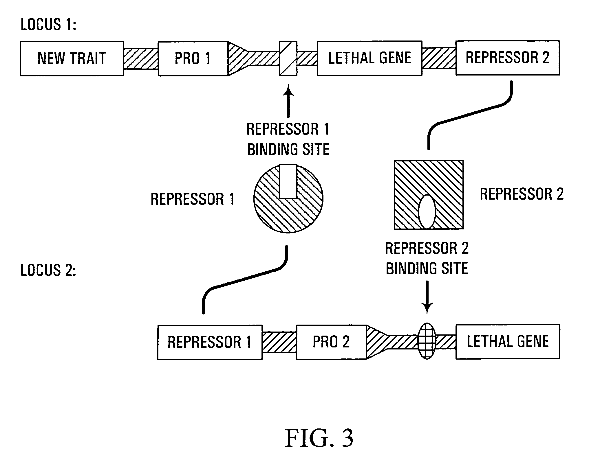 Methods and genetic compositions to limit outcrossing and undesired gene flow in crop plants