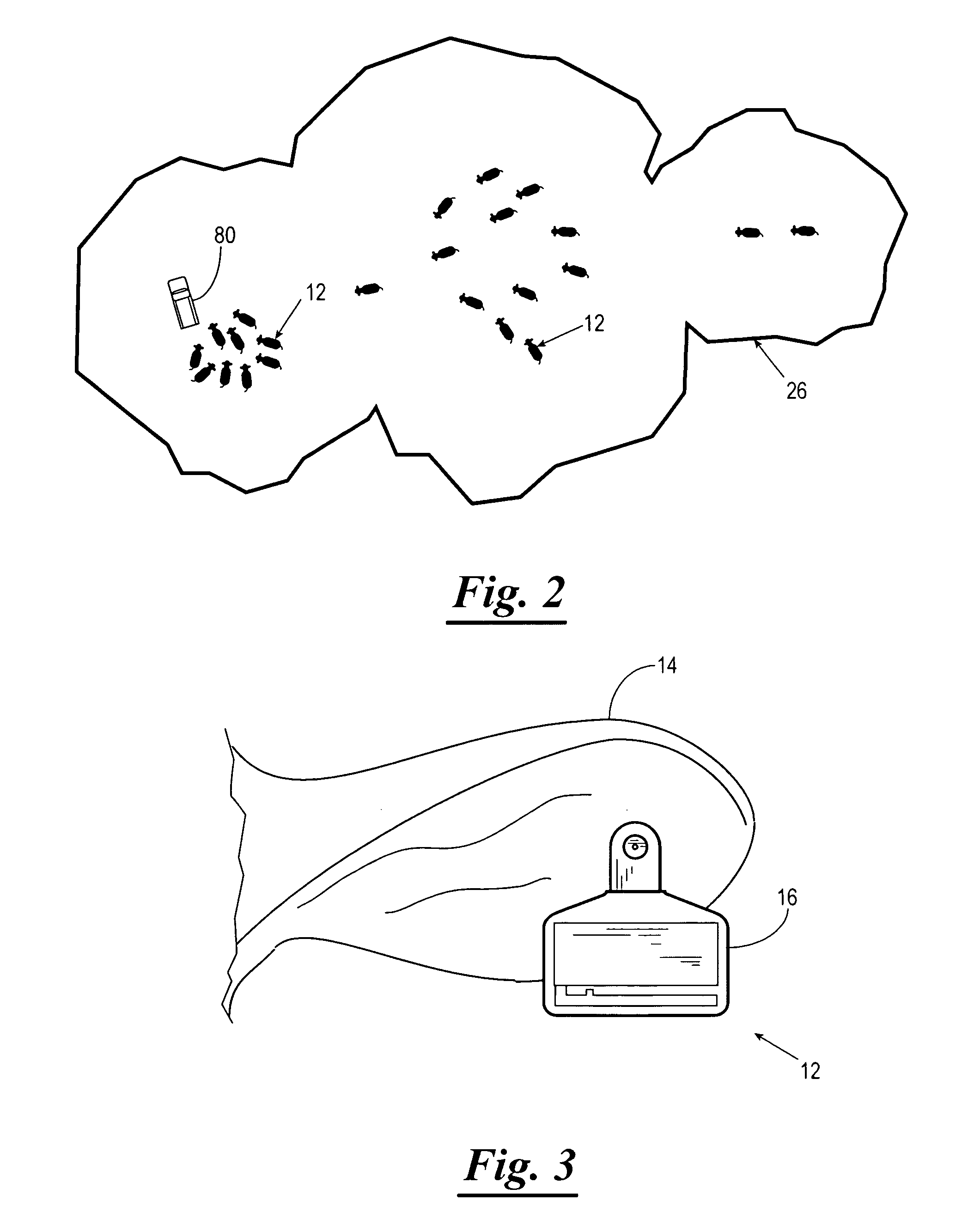 Long-range cattle identification system