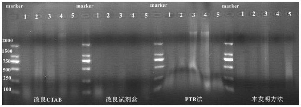 A method for extracting high-quality dna from agarwood